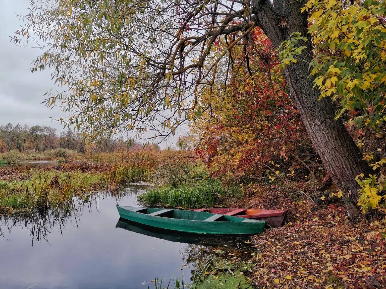 Река Воронеж Рамонь. Рамонь Пристань. Рамонь Воронежской области река. Озеро Рамонь.