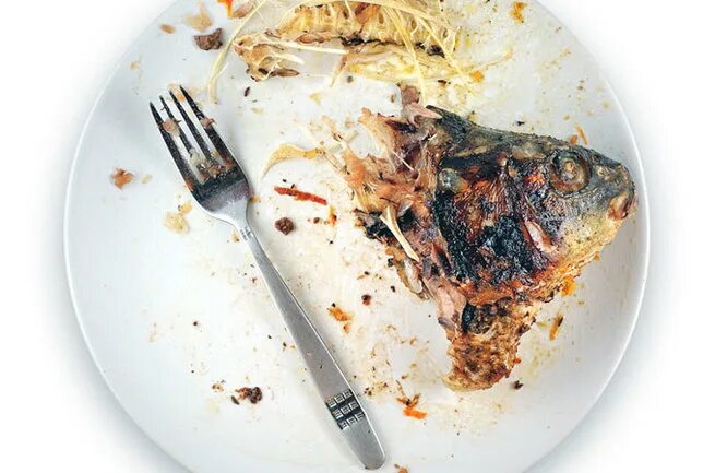 Объедки. Объедки на тарелке. Объедки. Пищевые отходы. Объедки на тарелке.