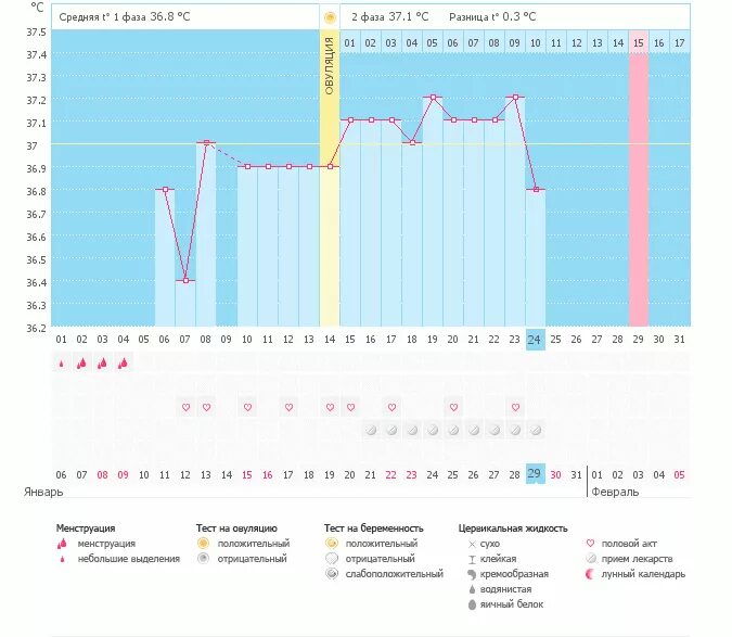 Овуляция 2 раза в месяц. График выделений цикл. Может быть 2 овуляции в одном цикле. График выделений в беременный цикл. Ановуляторный цикл (ановуляция).