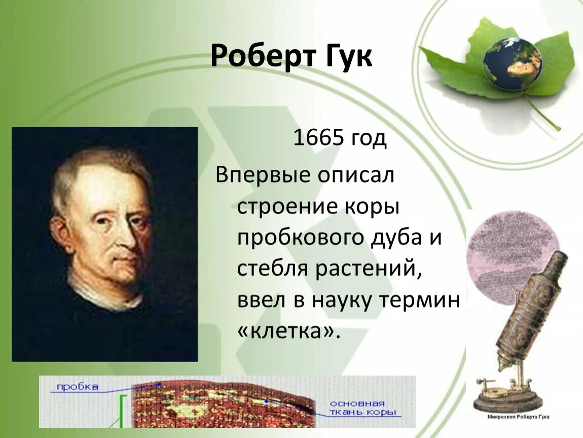 Какой ученый открыл существование клеток живых