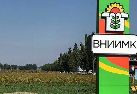 Институт масличных культур имени пустовойта