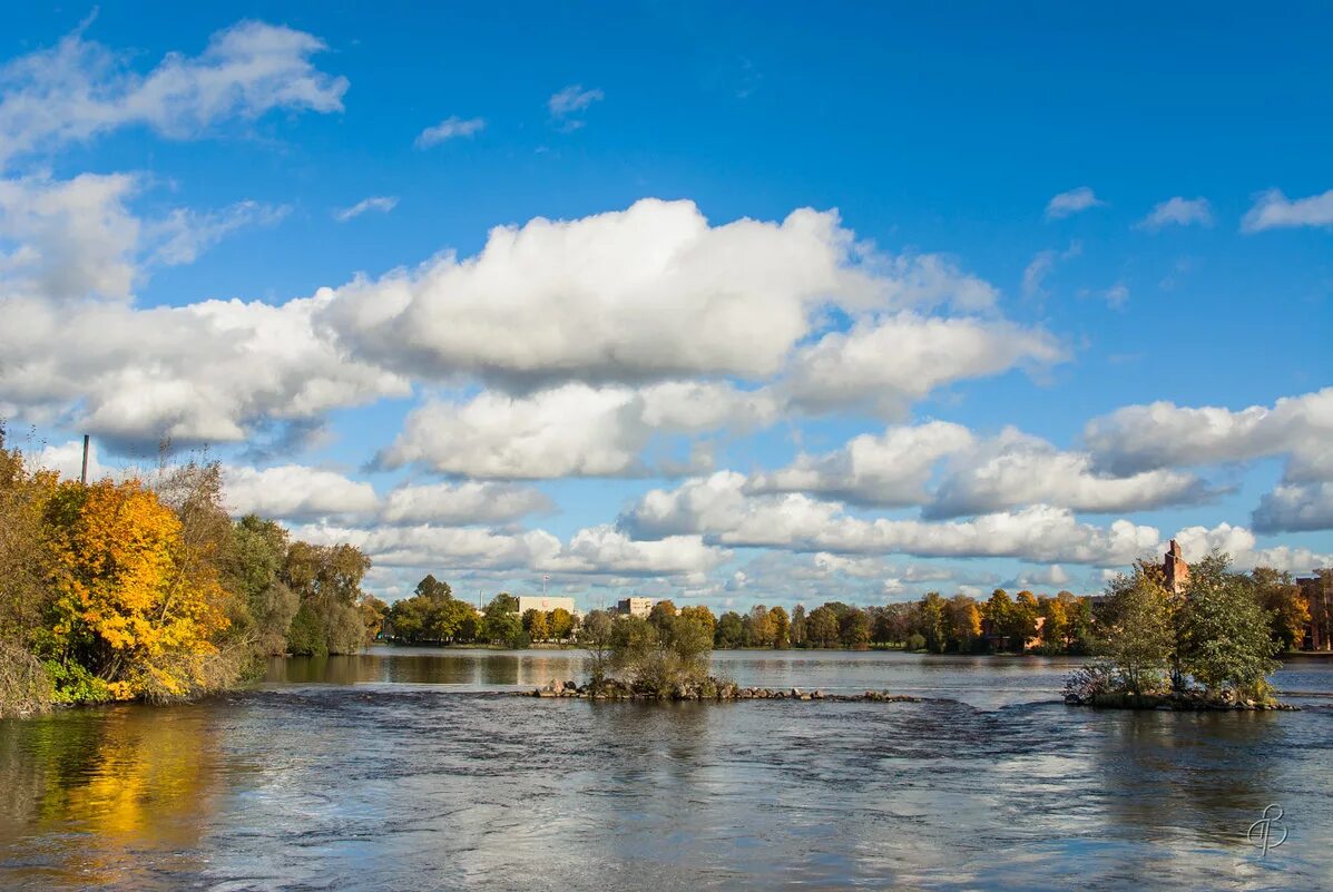 псков озеро. озеро разлив сестрорецк. петровские озера. сестрорецк озеро. озеро разлив сестрорецк пляж.