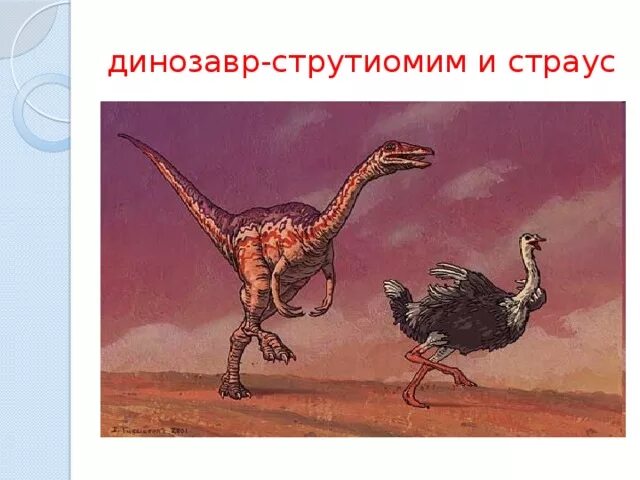 Страус динозавр. Потомки динозавров. Динозавр предок страуса. Страус потомок динозавра. Ближайший родственник динозавра