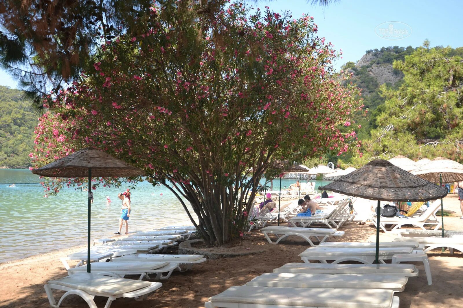 Sun City Hotel & Beach Club. Suncity Hotel - Beach Club в Олюденизе (Турция). Sun City Hotel Beach Club 4 фото.