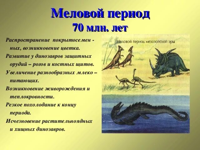 Меловой период мезозойской эры таблица. Меловой период животные и растения. Меловой период характеристика. Ароморфозы мелового периода.