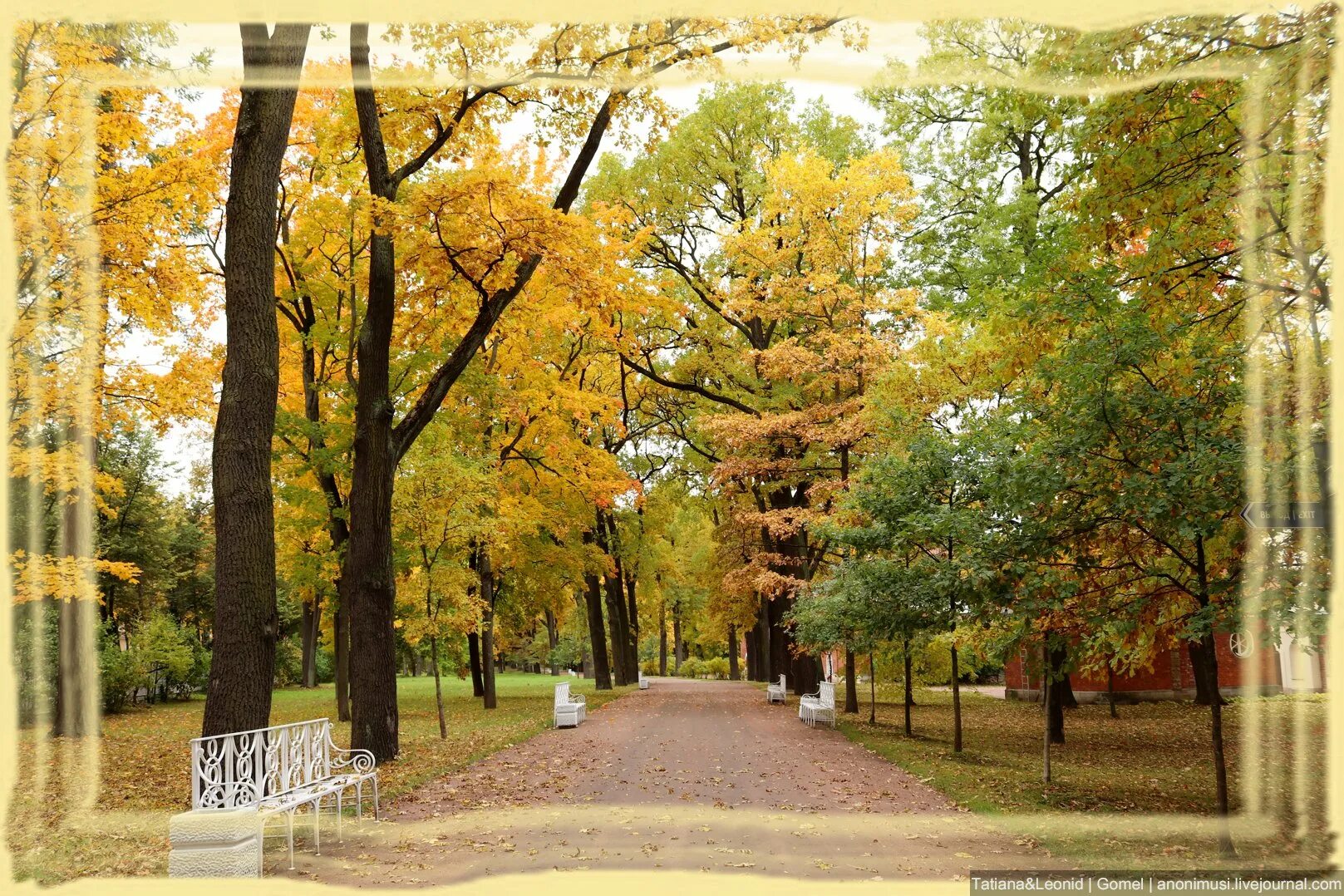 Осень прекрасная пора очей очарованье. Очарование осени. Осень очей очарованье. Осенняя пора. Очарование осени.
