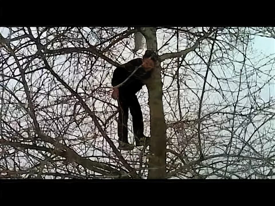 Повешены видео. Мальчика повесили на дереве. Повешенный человек в лесу.