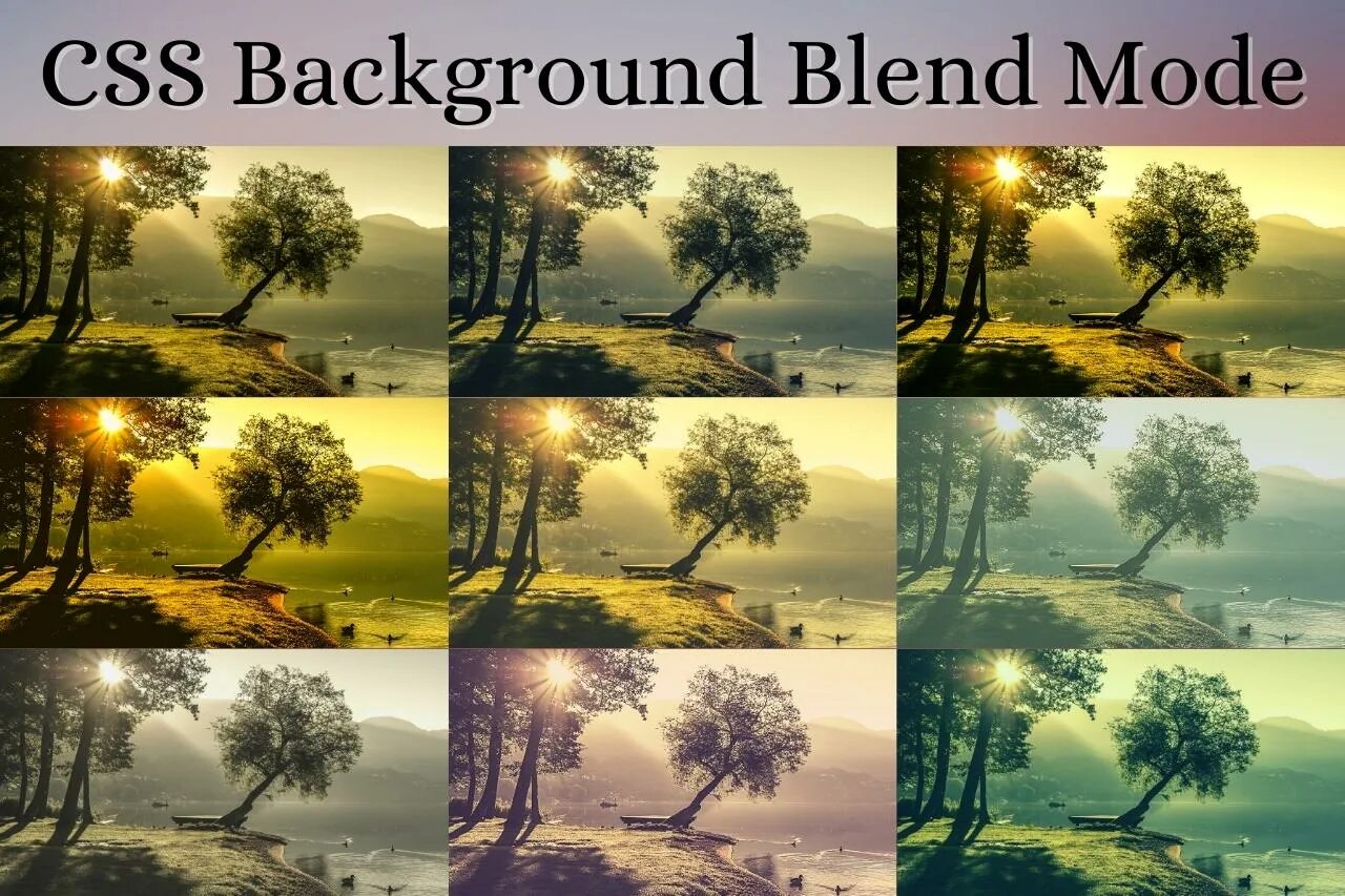 Css blend mode. Blend mode. background-blend-mode. background-blend-mode: luminosity;.