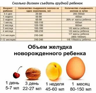 Объем желудка у ребенка в 1 год