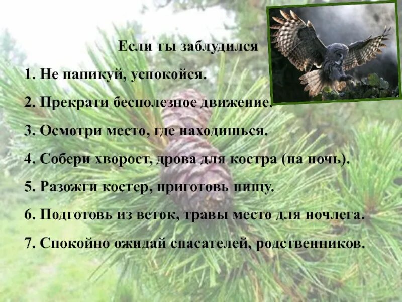 Памятка если ты заблудился васюткино озеро. Васюткино озеро заблудился. Если ты заблудился по рассказу Васюткино озеро. "Васюткино озеро" памятку поведения в лесу. Памятка заблудившемуся в лесу по рассказу Васюткино озеро.