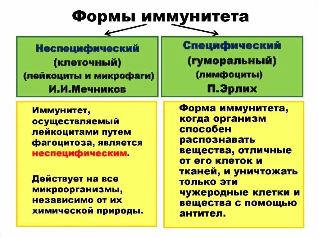 Специфические и неспецифические механизмы иммунитета. Неспецифический клеточный и гуморальный иммунитет. Специфические компоненты иммунного ответа. Неспецифический клеточный иммунитет.