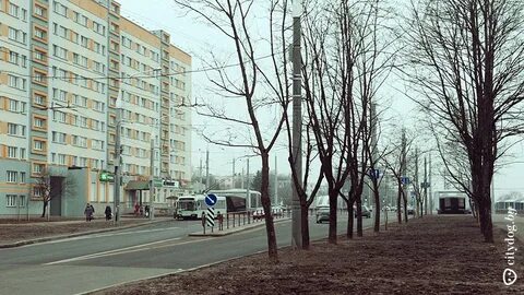 4 линия 25