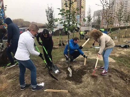 Ростов посадки