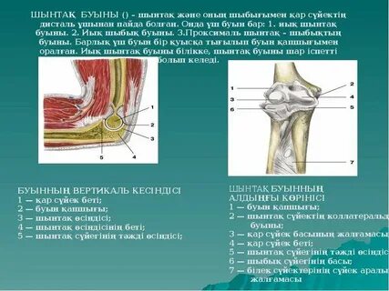 Оргазмқа қалай жетуге болады