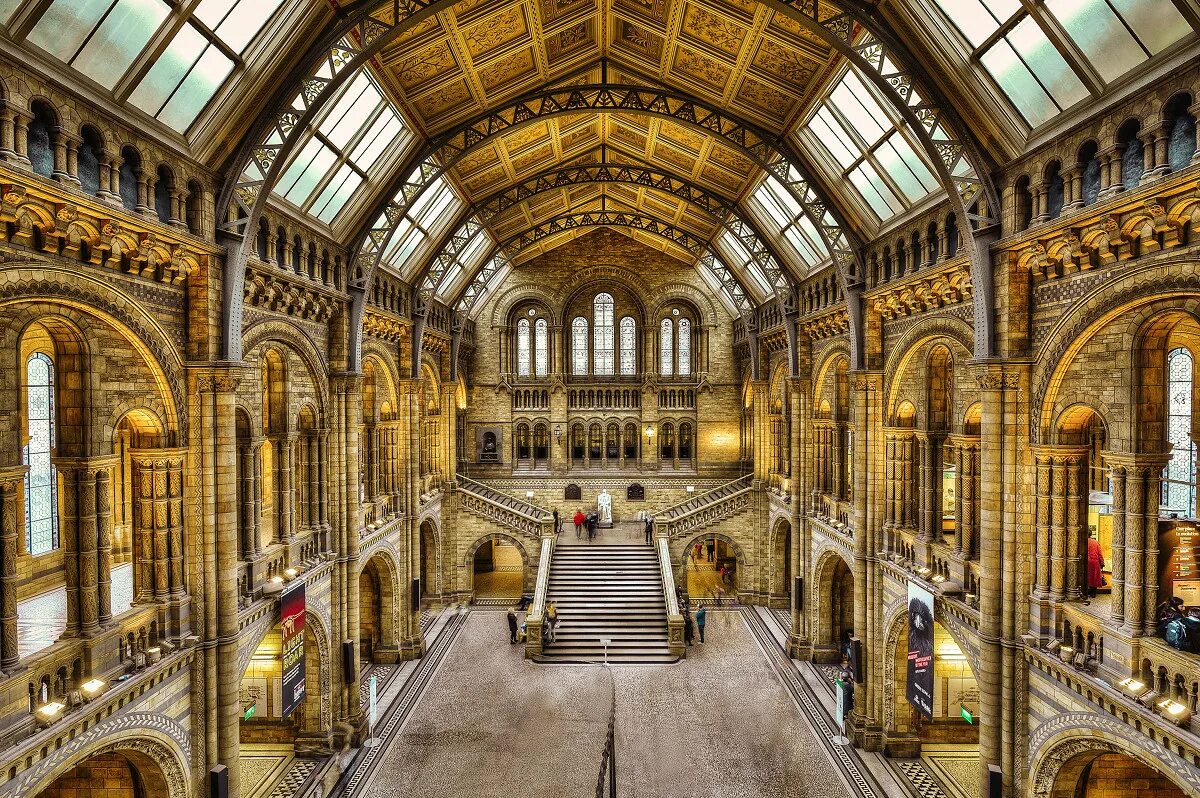 Какие музеи есть в лондоне. Натурал хистори музей Лондон. Natural History Museum в Лондоне. Британский музей естествознания. Музей естествознания Лондон фасад.