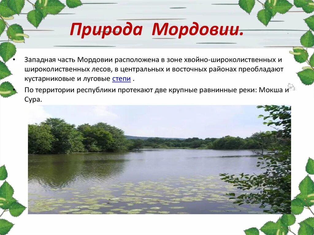 природа мордовии презентация. природа мордовии презентация. растения мордовского края. природа мордовии. разнообразие природы мордовии.