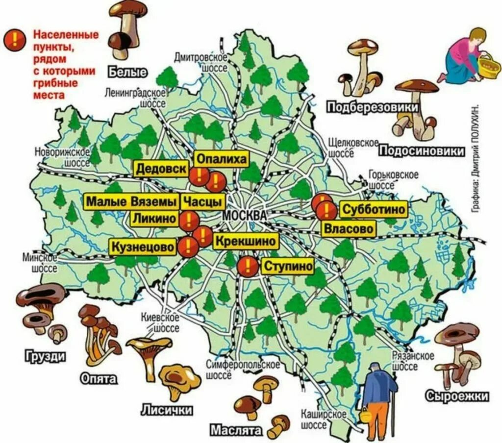 В подмосковье есть у меня заветное место. Грибные места подмосковья на карте. грибы в подмосковье карта грибных мест. карта белых грибов в подмосковье. карта грибных мест московской области.