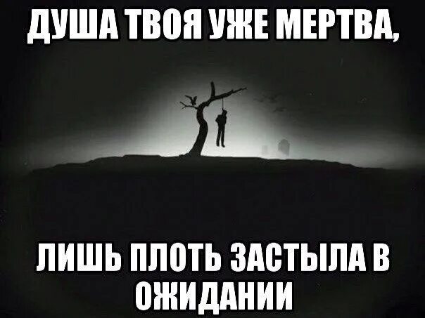 Во мне давно уже мертво текст. Сучьи статусы. Душа твоя уже мертва. Цитаты для убитых изнутри.