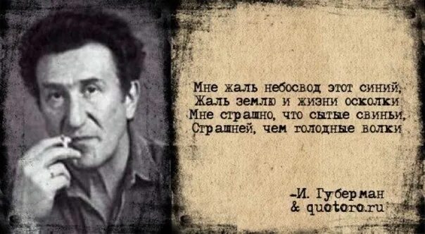 Жалко что я не вижу. Мне жаль что сытые свиньи страшней чем Голодные волки. Губерман мне страшно что сытые свиньи. Мне жаль небосвод этот синий Губерман. Мне жаль Губерман.