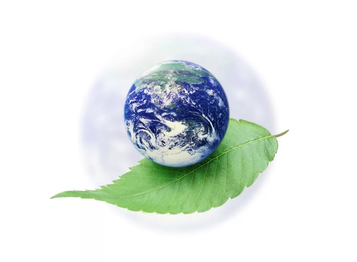 Conference series earth and environmental science