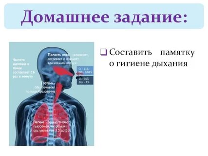 Гигиена дыхания 8 класс