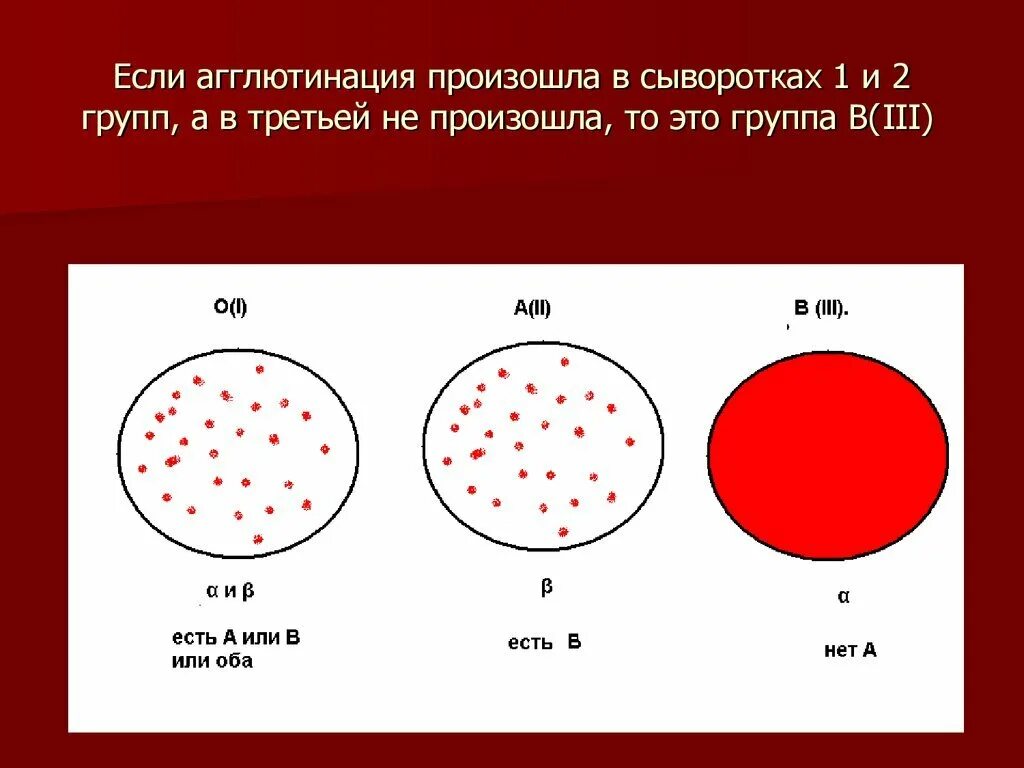 Определение резус фактора с помощью. Механизм агглютинации резус фактор. группа крови, резус фактор агглютинации. реакция агглютинации группы крови. реакция агглютинации для определения группы крови механизм.