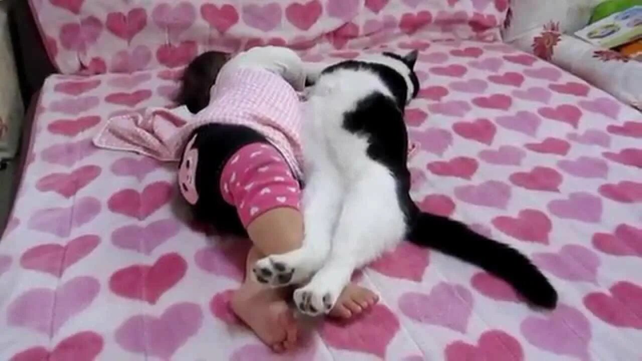 Кот спавший ребенка. Коты укладываются спать. кошка укладывает спать котёнка. коты спящие с ребенком. котёнок спит как ребёнок.