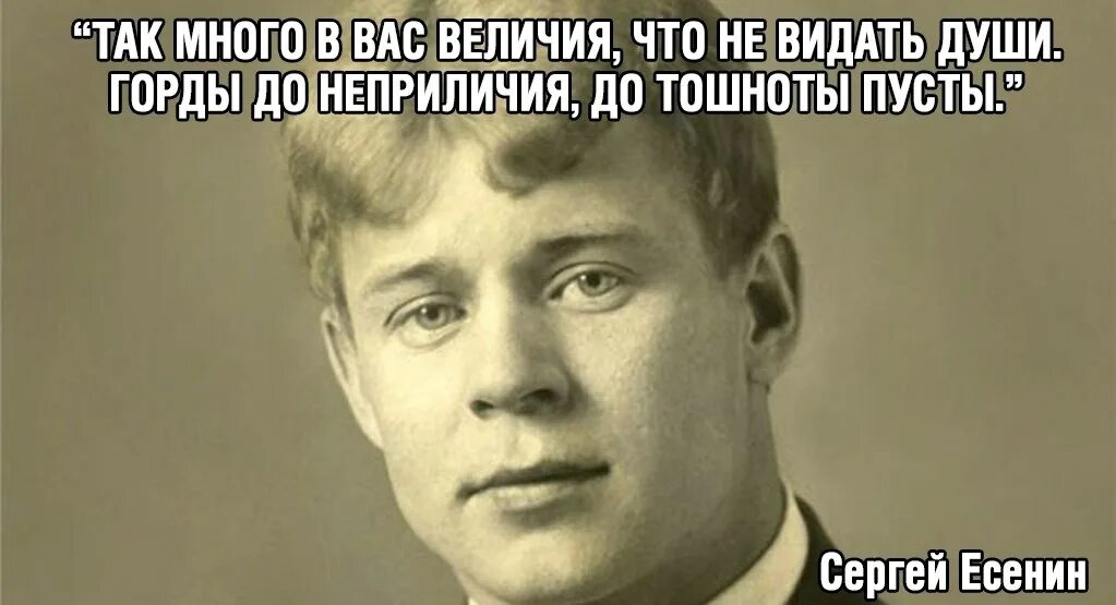 Видать н. Так много в вас величия. Так много в вас величия Есенин. Цитаты: так много в вас величия. Горды до неприличия до тошноты пусты Есенин.