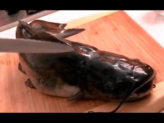 Африканский клариевый сом филе. Обработка сома схема. Африканский клариевый сом филе. Как разделать сома фото. Сом стейк.