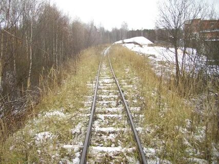 Узкоколейка в беларуси