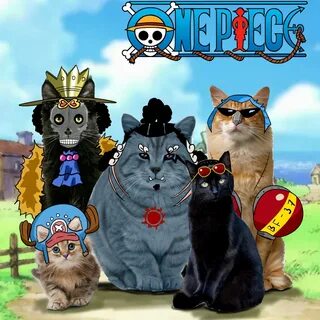 Cat piece fruits