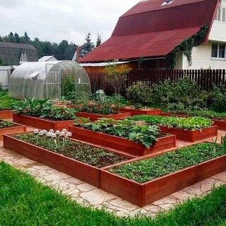 Фото красивых огородов своими руками