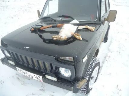 Берфишинг березники