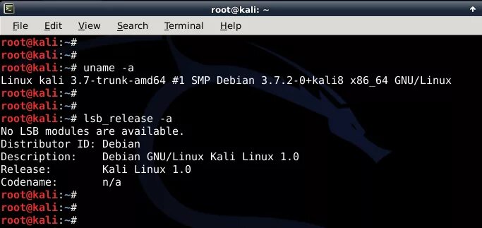 Кали линукс рут. Суперпользователь линукс. root kali linux. kali@root на линукс. kali linux terminal.