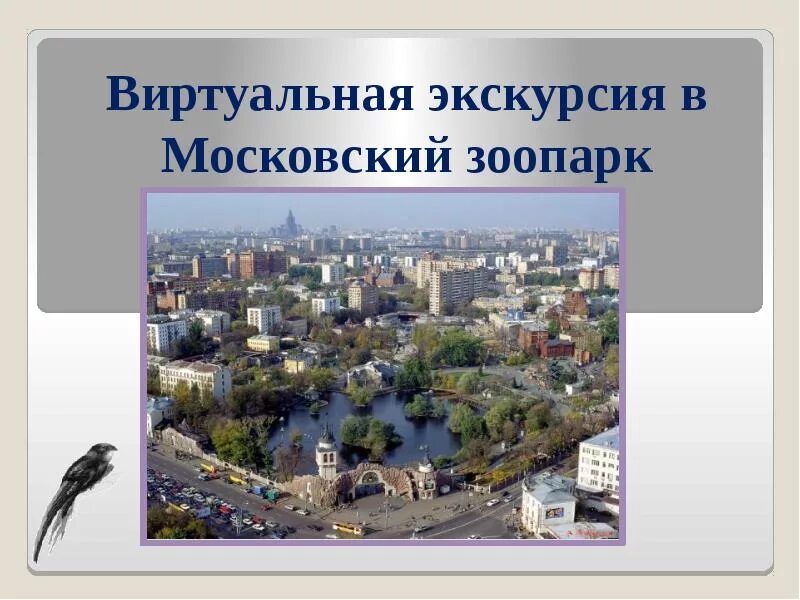 Зоопарк сообщение 2 класс. Московский зоопарк виртуальная экскурсия. московский зоопарк презентация. виртуальная экскурсия в зоопарк. московский зоопарк сообщение.