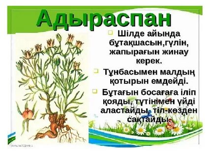 Аналармен порно түсіру