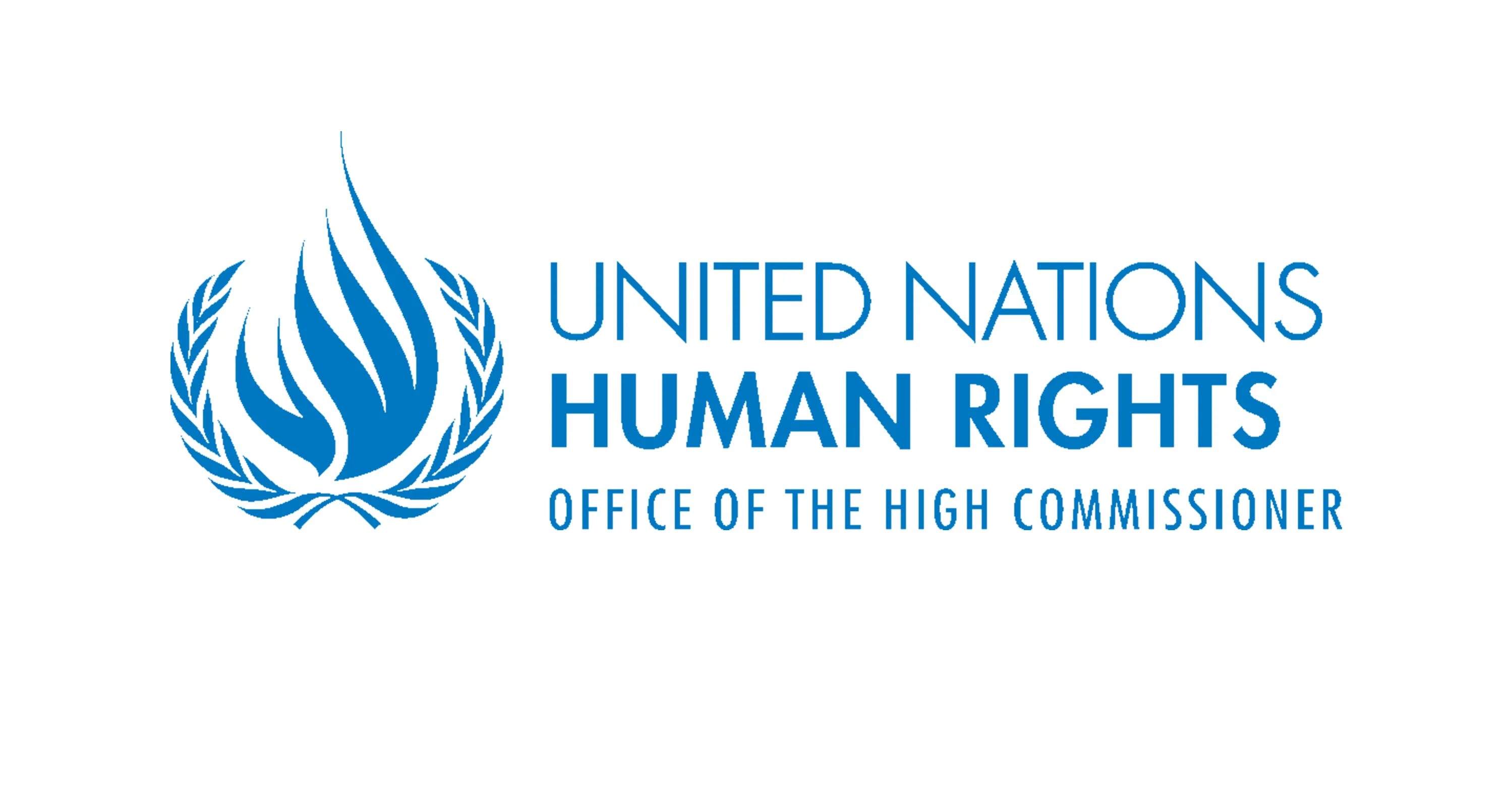 Управление комиссара оон. Верховный комиссар ООН по правам человека эмблема. Совет ООН по правам человека лого. Управление Верховного комиссара ООН.