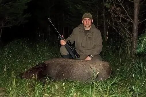 Алексей кабанов убивший свою жену. Дикий кабан секач. Кабанов срок. Блогер алексей кабанов. Алексей кабанов ресторатор.