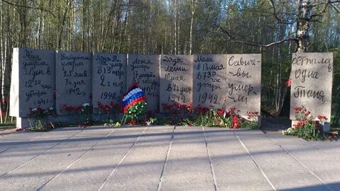 Курганский дневник