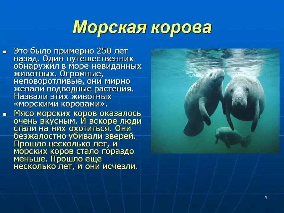 Встреча "Географический круиз по океану знаний" 2018, Усть-Камчатский район - да