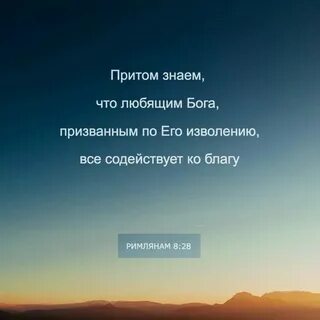 Все к благу