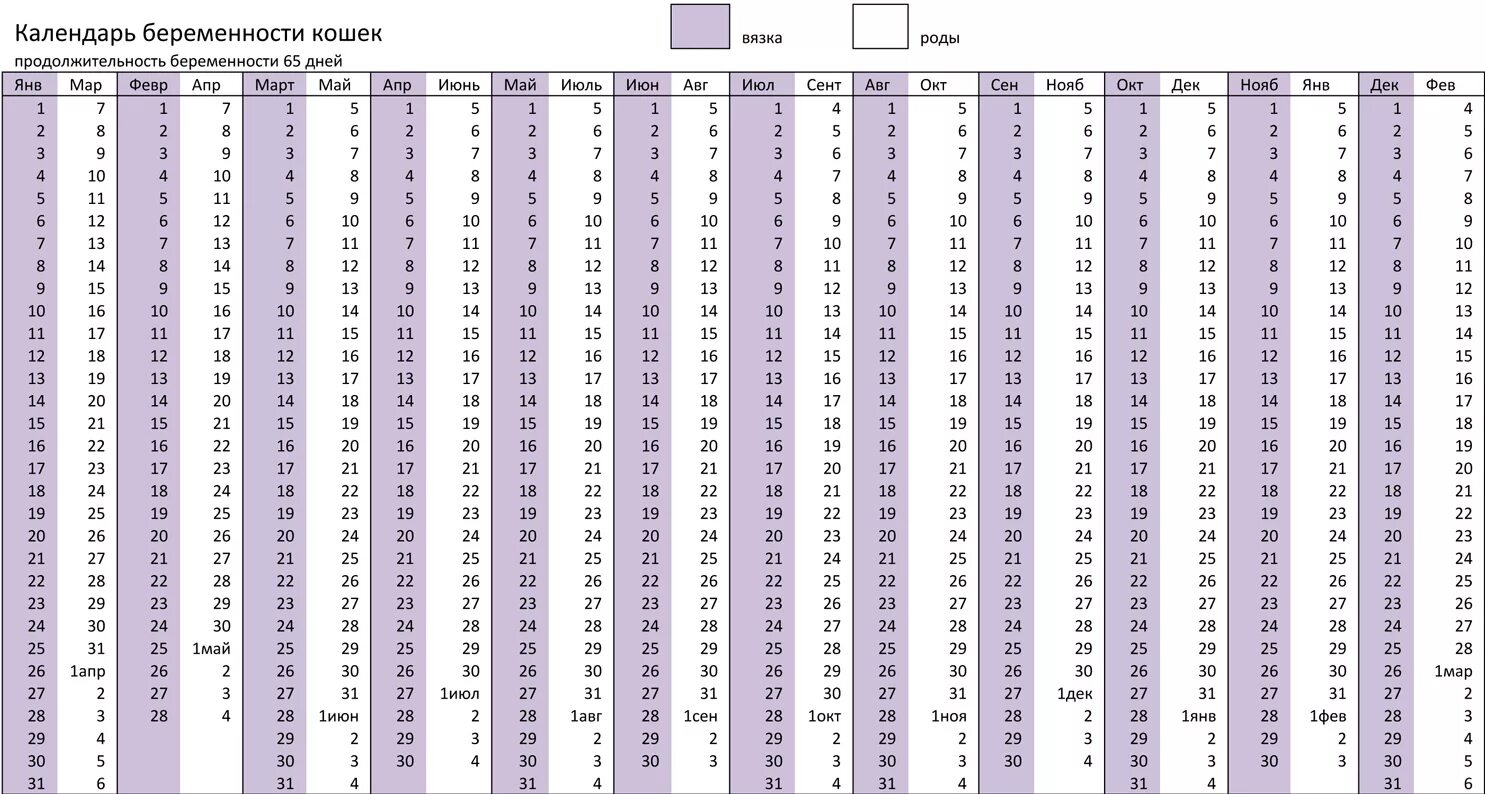 Рассчитать недели по месяцам. Кошка беременность срок таблица. Таблица вязки и родов у кошек. Календарь беременности у собак мелких пород. Календарь беременности собаки по дням чихуахуа.