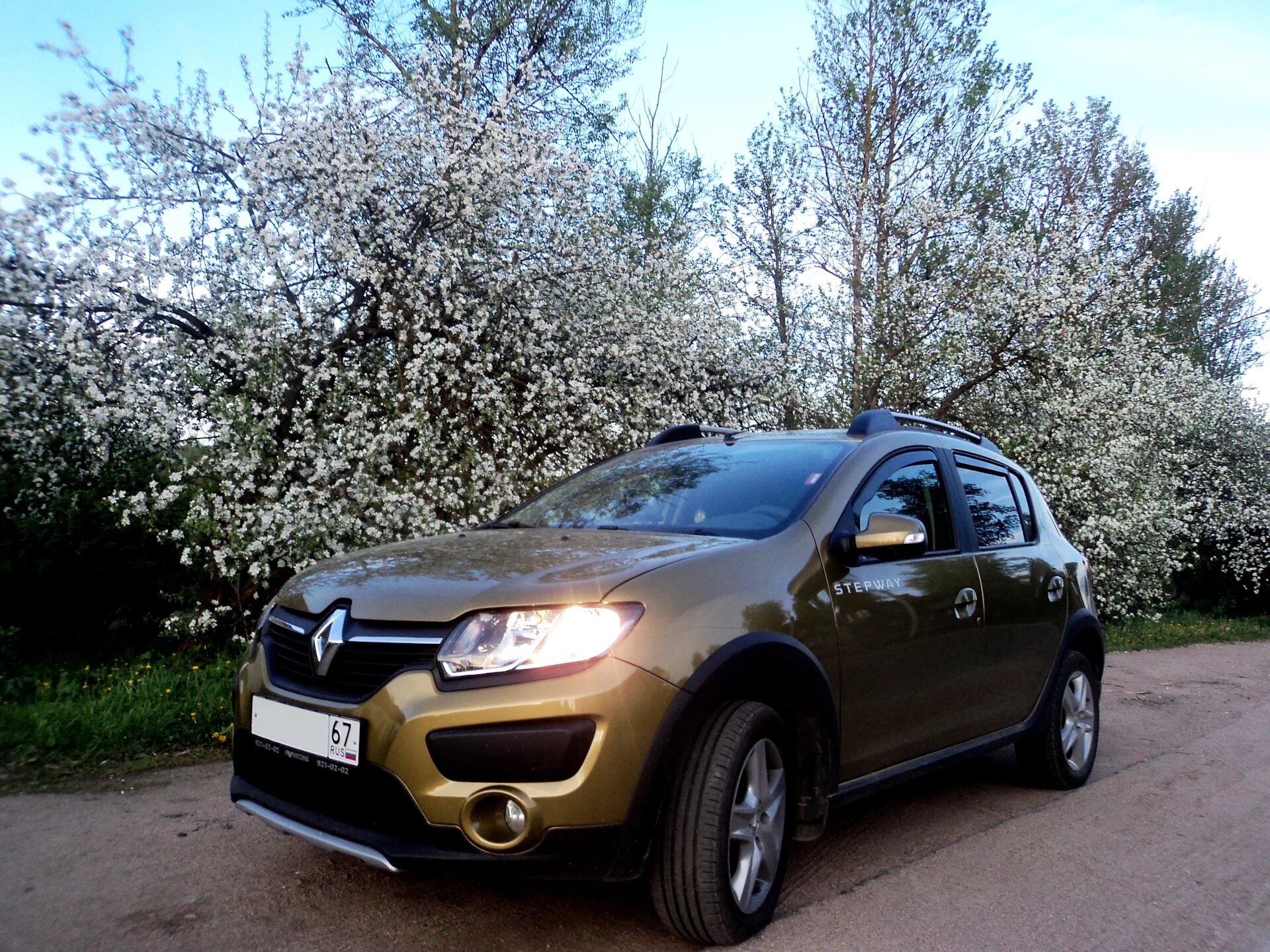 Авито рено полный привод. Renault Sandero Stepway автомат. Рено Логан степвей автомат. Рено степвей полный привод. Рено Сандеро полный привод.