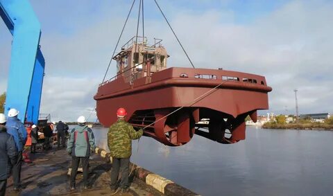 Питомник стаховского поселок красный буксир