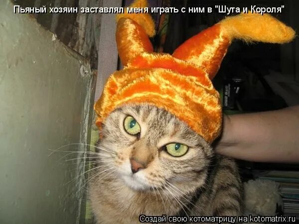 Пьяные хозяева. Собака привязанная к бутылке. Собака охраняет пьяного хозяина. Я лапочка. Пьяные хозяева.