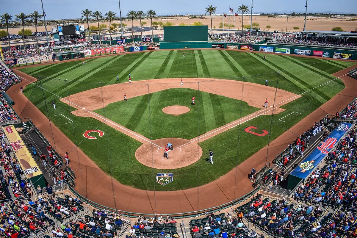 Ballpark. Ballpark Figure. Osaka Buffalos Ballpark. Spring Training MLB logo.