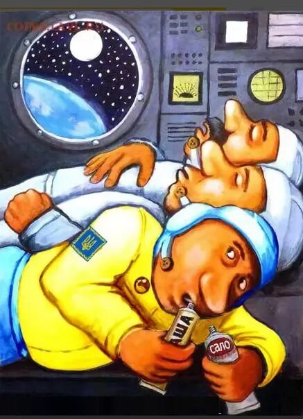 Биоспутник бион. Крыса гектор космонавт. Корабельные крысы на космических кораблях. Первая мышь в космосе. Корабельные крысы на космических кораблях.