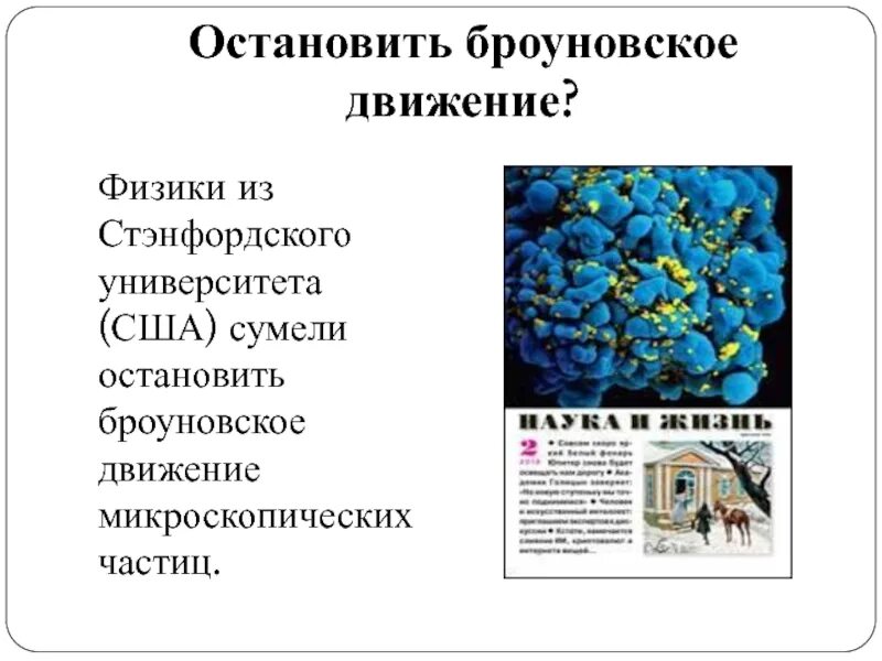 Броуновское движение. Броуновское движение 7 класс физика. Броуновское движение диффузия. Броуновское движение это в физике. Броуновское движение днем и ночью