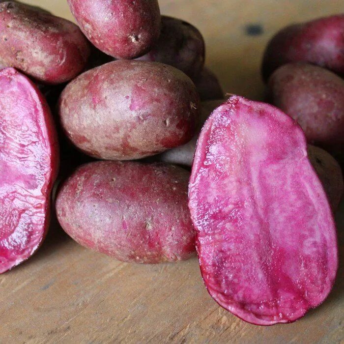 Есть ли сорт картофеля. Сорт картофеля кранберри ред. семенной картофель супер суперэлита. сорт картофеля симпли ред. картофель семенной сюрприз элита.