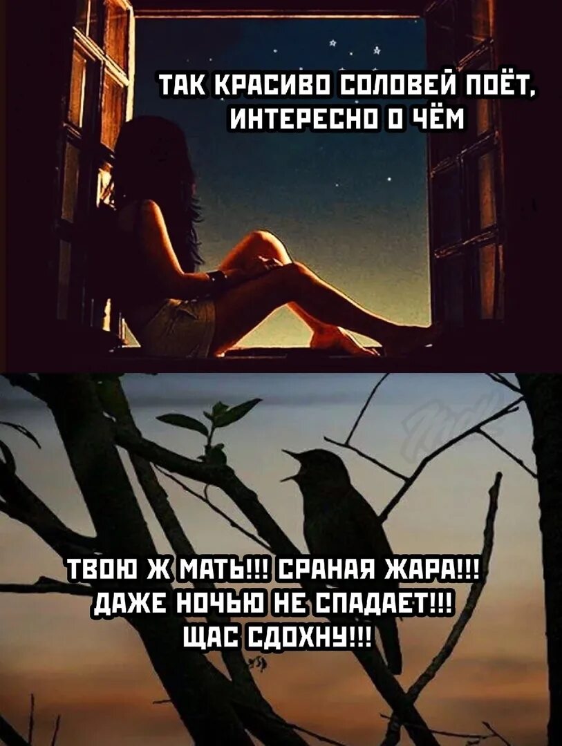 Почему ночью мысли. Даже ночью. соловей поет сраная жара. даже птицы подпевают. мысли вслух прикольные.